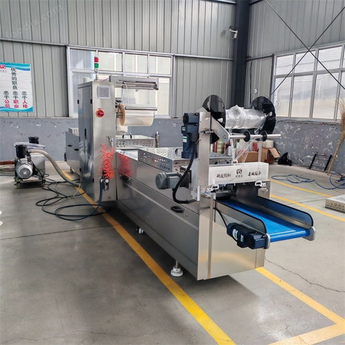 探索DZR520玉米漿包拉伸膜真空包裝機(jī)的卓越性能與聯(lián)達(dá)機(jī)械的專業(yè)服務(wù)